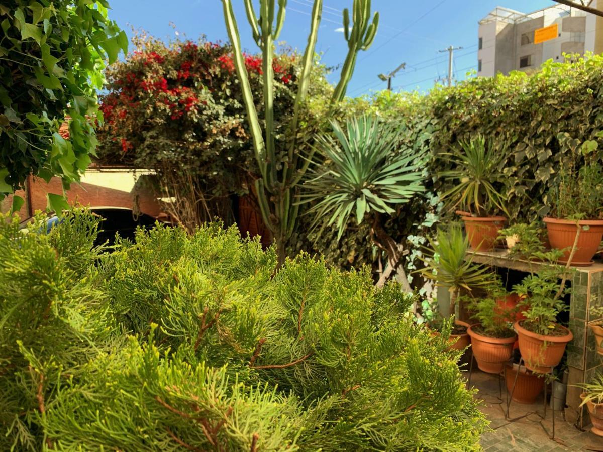 The King Sun Garden Hotel Cuzco Exterior foto